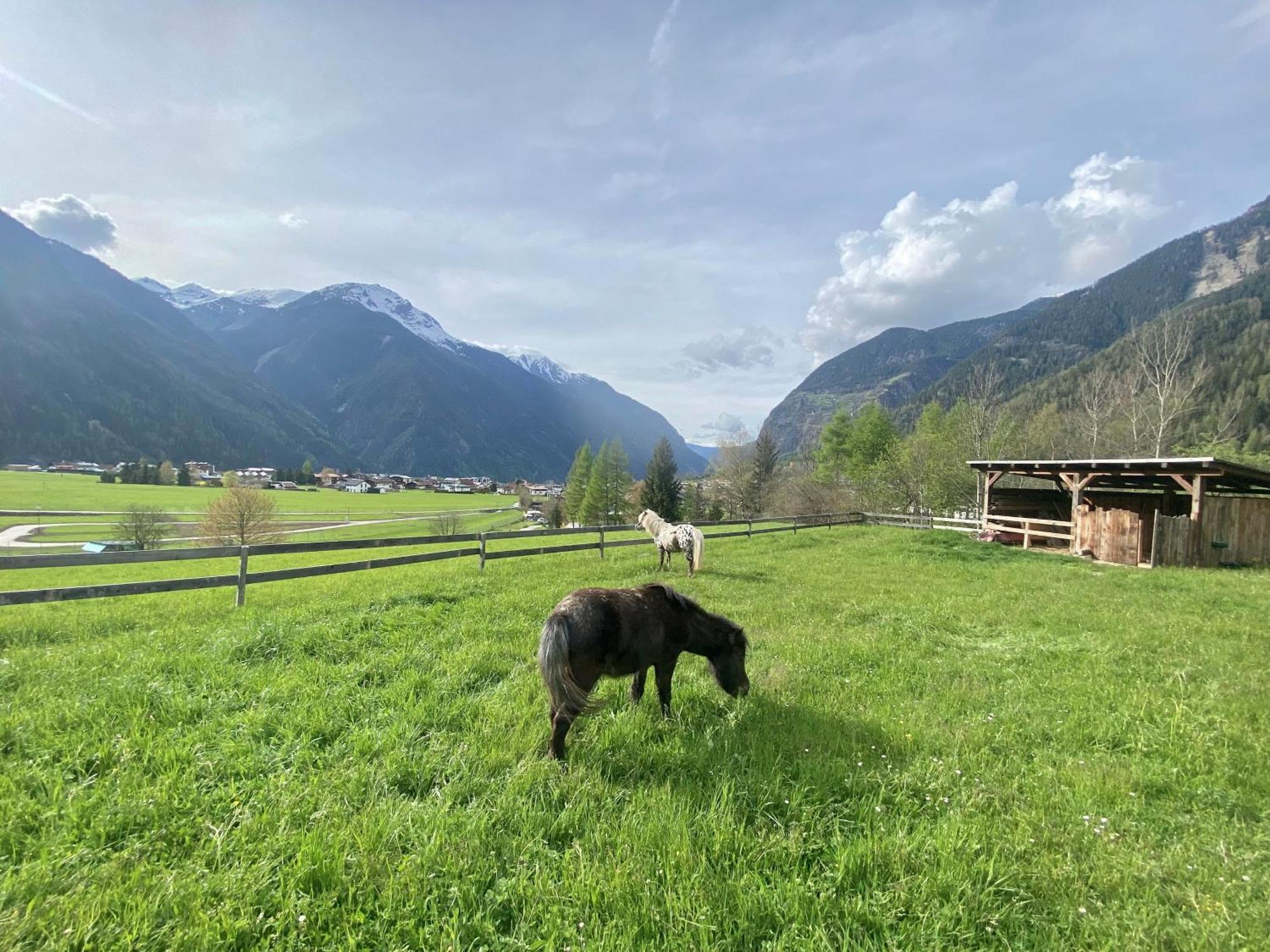 אומהאוזן Ferienhaus Tirol Im Oetztal מראה חיצוני תמונה
